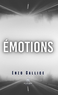 Enzo Gallice - Emotions.