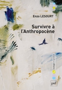 Enzo Lesourt - Survivre à l'Anthropocène - Par-delà guerre civile et effondrement.