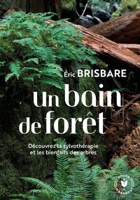 Eric Brisbare - Un bain de forêt.