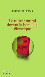 Le miroir mural devant la berceuse électrique