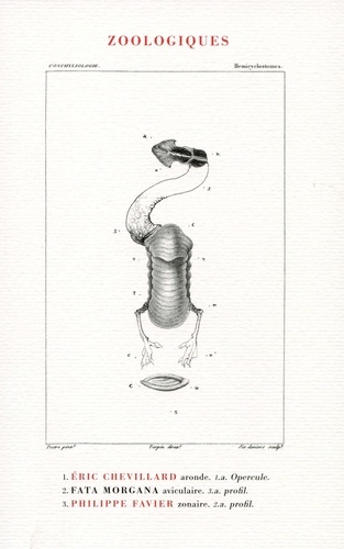 Eric Chevillard et Philippe Favier - Zoologiques.