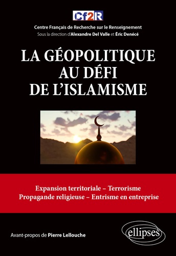 La géopolitique au défi de l'islamisme. Expansion territoriale, terrorisme, propagande religieuse, entrisme en entreprise