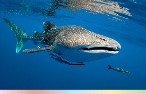 Merveilles de la nature. Sept sites exceptionnels à préserver