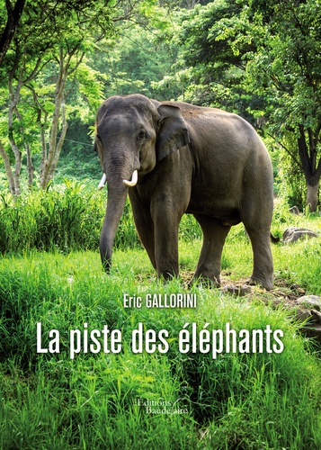 Eric Gallorini - La piste des éléphants.