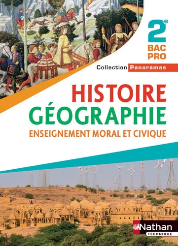 Eric Godeau et Dominique Delmas - Histoire-géographie, Enseignement moral et civique 2e Bac Pro Panoramas.