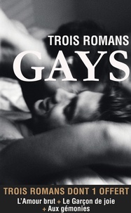 Eric Jourdan - LECTURES AMOURE  : Trois romans gays.