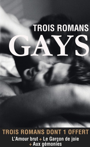 LECTURES AMOURE  Trois romans gays