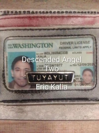 Descended Angel Book Two