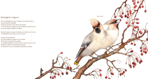 Les oiseaux !. 21 petites histoires naturelles