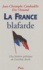La France Blafarde. Une Histoire Politique De L'Extreme Droite