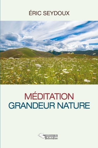 Eric Seydoux - Méditation grandeur nature.