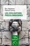 Eric Taladoire et Patrice Lecoq - Les civilisations précolombiennes.