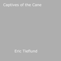 Eric Tieflund - Captives of the Cane.