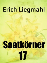 Saatkörner 17