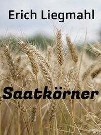 Saatkörner
