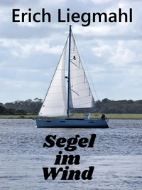 Segel im Wind
