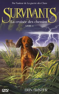 La croisée de chemins