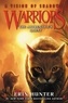 Erin Hunter - Warriors: A Vision of Shadows #1: The Apprentice's Quest.