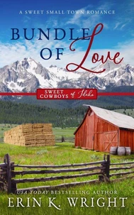 Bundle of Love: A Small Town Office Sweet Romance