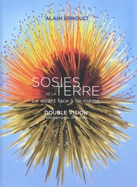 Sosies de la Terre