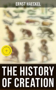 The History of Creation