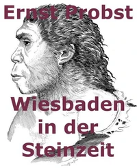 Wiesbaden in der Steinzeit