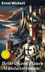 Heinrich von Plauen (Mittelalterroman)