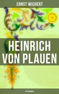 Heinrich von Plauen: Ritterroman