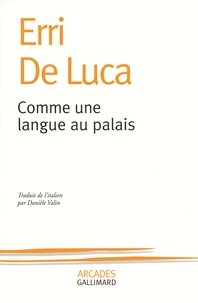 Erri De Luca - Comme une langue au palais.