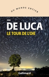 Livre complet pdf téléchargement gratuit Le tour de l'oie (Litterature Francaise) PDF RTF 9782072822582 par Erri De Luca