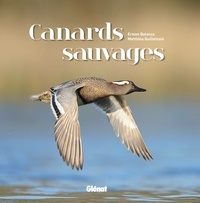 Canards sauvages.pdf