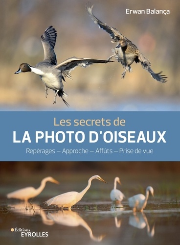 Les secrets de la photo d'oiseaux. Repérages - Approche - Affûts - Prise de vue