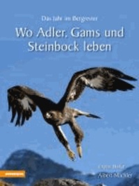 Erwin Hofer et Albert Mächler - Wo Adler, Gams und Steinbock leben - Das Jahr im Bergrevier.
