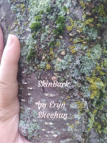  Eryn Sheehan - SkinBark.