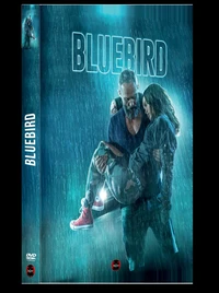 Bluebird