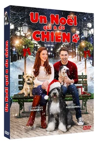 Un noël qui a du chien