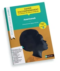 Americanah, Chimamanda Ngozi Adichie