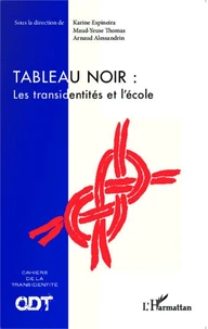 Tableau noir : les transidentités et l'école