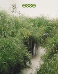 Plantes