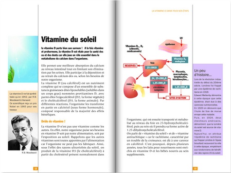 La vitamine D. Des vertus connues aux plus inattendues