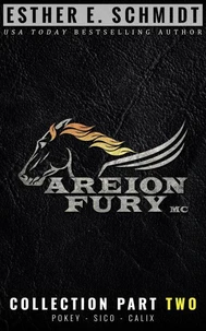 Areion Fury MC Collection Part Two
