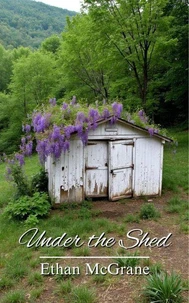 Under the Shed