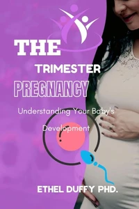 The Trimester Pregnancy