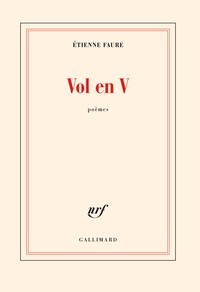 Etienne Faure - Vol en V.