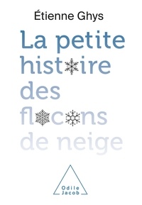 Etienne Ghys - La petite histoire des flocons de neige.