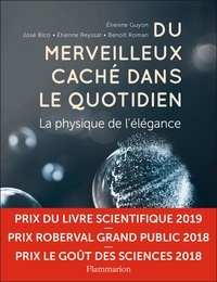 Téléchargement ebook mobile Du merveilleux caché dans le quotidien  - La physique de l'élégance 9782081350618 (French Edition) CHM RTF