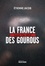 La France des gourous. Journal d'un infiltré
