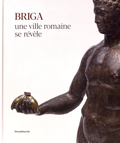 Briga, aux confins septentrionaux de l'Empire, une ville romaine se révèle