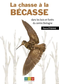 La chasse à la bécasse dans les bois et forêts du centre Bretagne