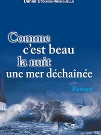 Comme c'est beau la nuit une mer déchaînée
